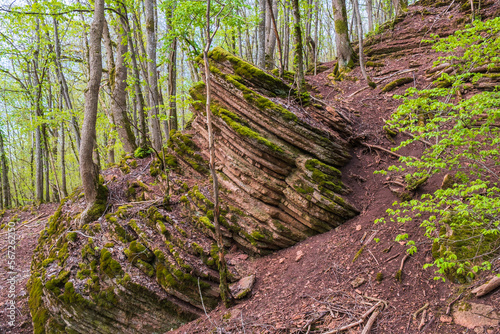 Rock formation at a slope in a forest at spring photo