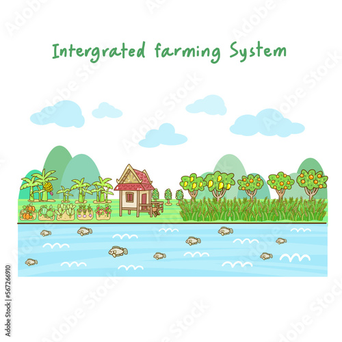 Integrated Farming System Vector on Background.