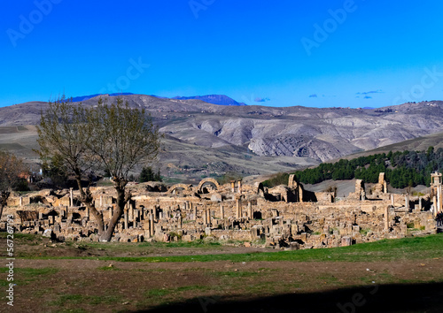 The Roman ruins of Djemila, North Africa, Djemila, Algeria photo