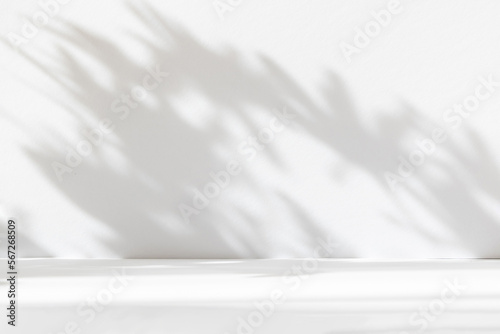 Abstract white studio background for product presentation. Empty room with shadows of window and flowers and palm leaves . 3d room with copy space. Summer concert. Blurred backdrop.