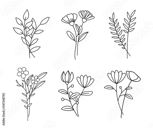 Floral branch set. Hand drawn with leaves and flowers on white background.