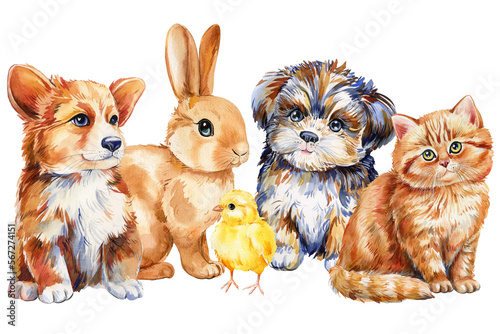 Fototapeta Naklejka Na Ścianę i Meble -  Cute animal on isolated white background. Watercolor hand drawn illustration. Kitten, puppy, bunny and chick,