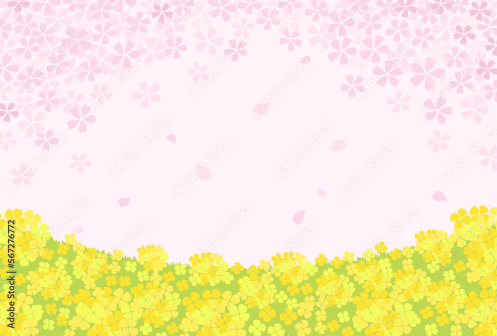 spring vector background with cherry blossoms and canola flowers for banners, cards, flyers, social media wallpapers, etc.