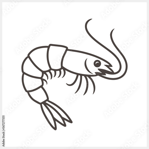 Doodle shrimp, spiny lobster, lobster icon Engraving sea animal Vector stock illustration EPS 10 