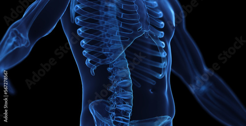 3d medical illustration of a man's skeletal system photo