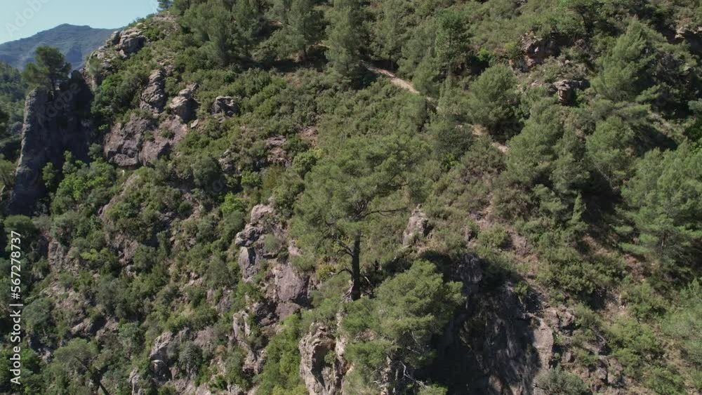 Gorge and mountainous ravines with Mediterranean forest and river bed. Aerial view from drone. Río Verde. Granada. Spain. Gorge and mountainous ravines with Mediterranean forest and river bed. Aerial view from drone. Río Verde. Granada. Spain.