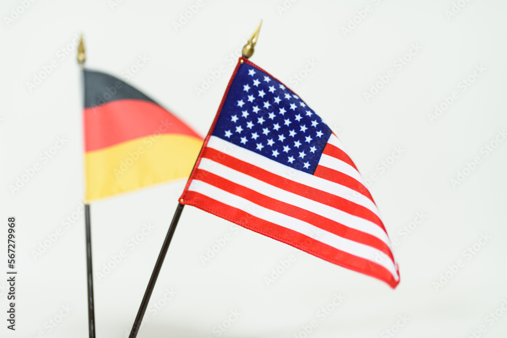 A national flag with a symbol of the country A national flag with a symbol of the country