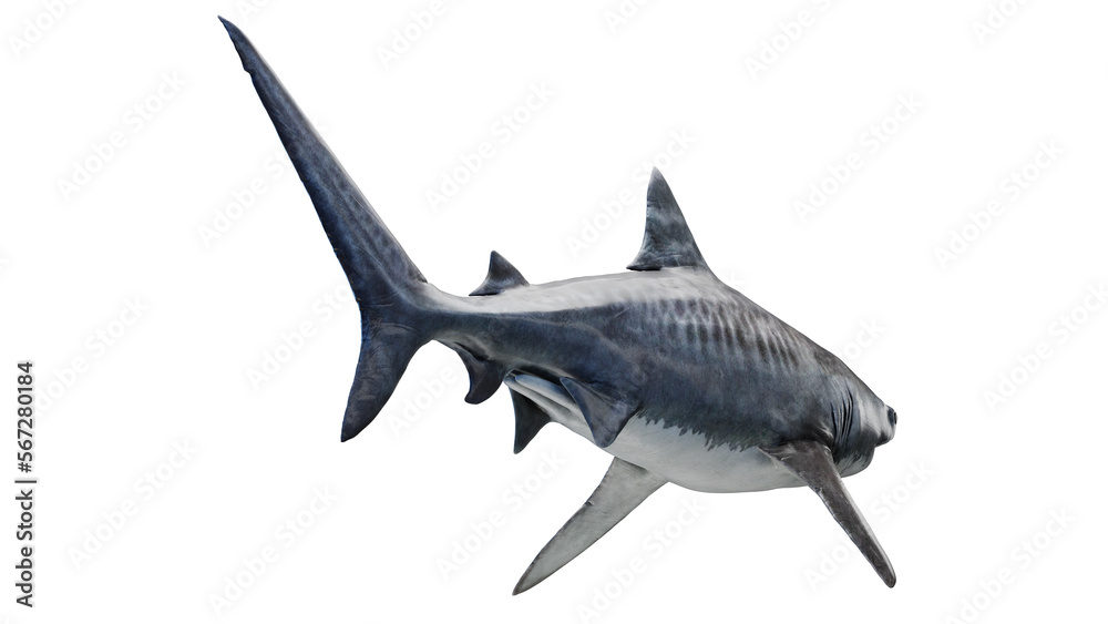 Naklejka premium 3D rendered illustration of a tiger shark