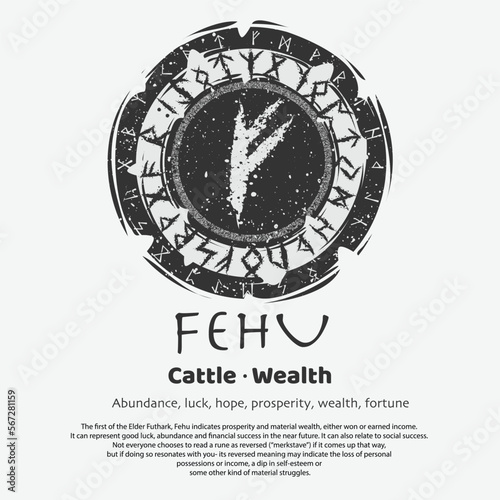 Viking Fehu rune dark circle shield