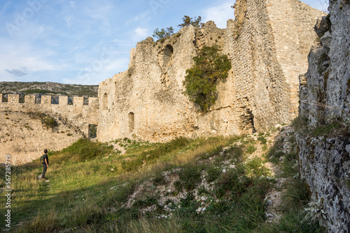 Ruins of a medieval castle with vegetation coming back