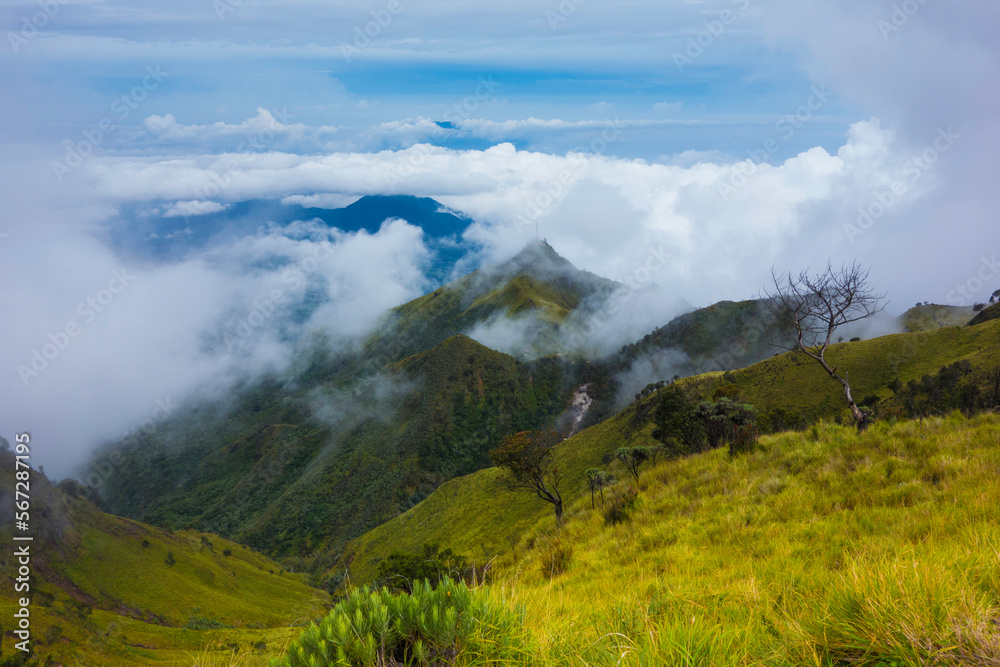 yellow savana on top of Mount Merbabu is covered by thick clouds