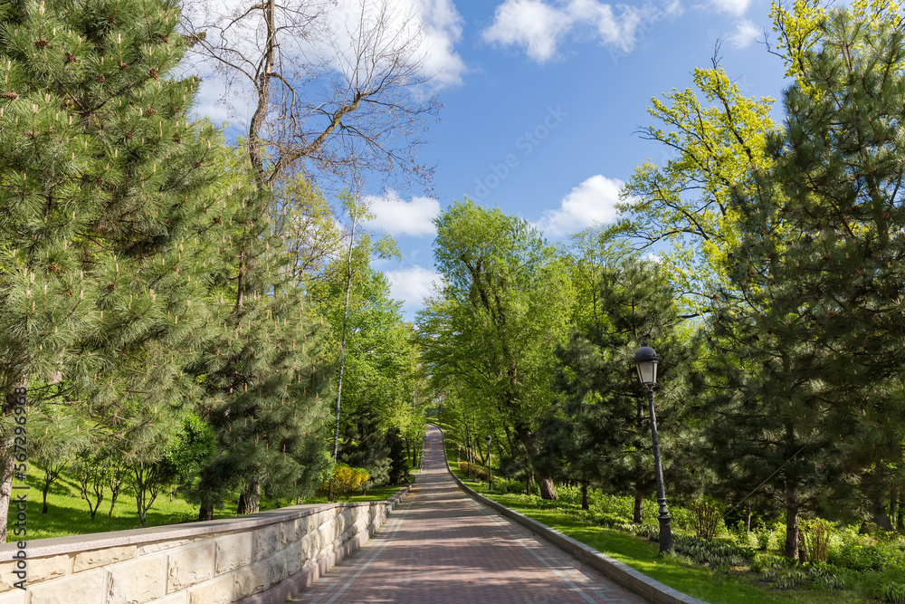 Paved walkway among trees on hillside in spring city park