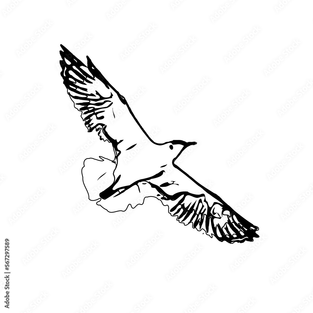 Fototapeta premium Black and white sketch of a flying bird with transparent background