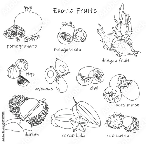 Exotic fruits set. Vector illustration. Flat icon collection isolated on white.