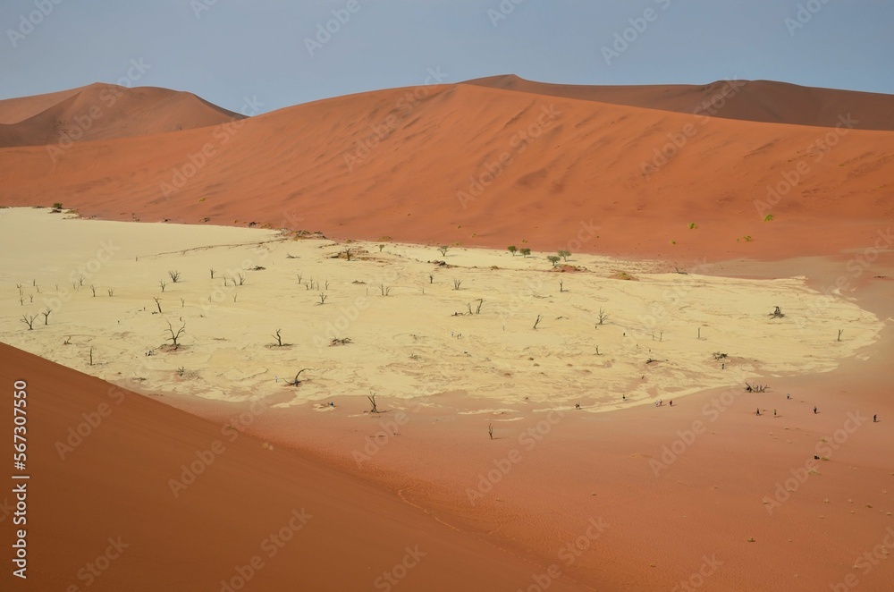 Bizarre landscape at Sossusvlei NP, Namibia