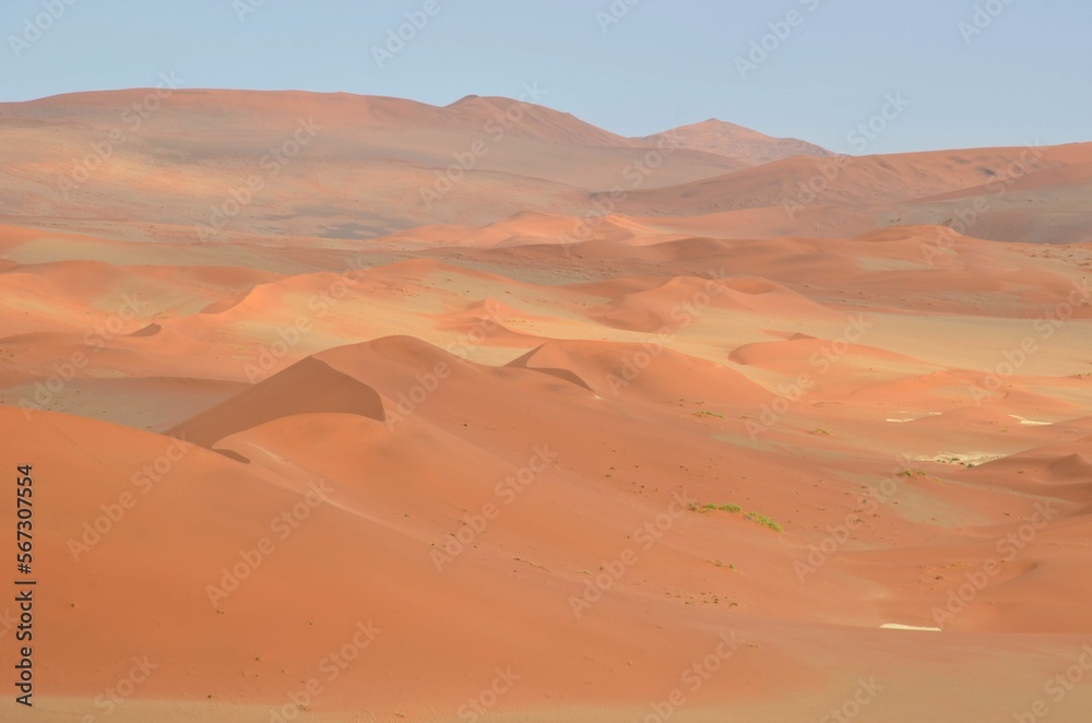 Endless dunes at Namib desert, Sossusvlei, Namibia