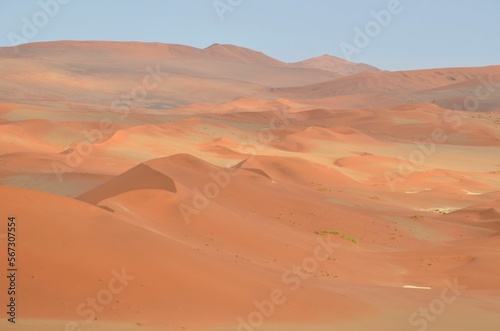 Endless dunes at Namib desert  Sossusvlei  Namibia