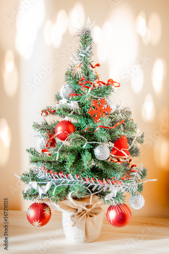 Small Christmas tree close up
