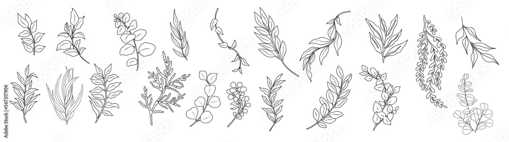 Botanical Illustration Stickers Pack