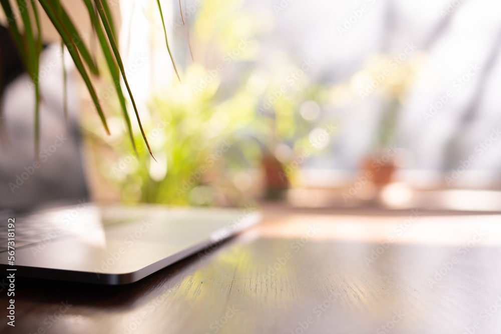 Blurred Home office background Stock Photo Adobe Stock