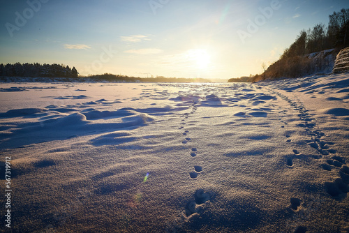 Photo of a sunset at winter snowy field, peaceful stunning landscape, amazing seasonal nature, cold weather in the park, beautiful sunny snow field, wintertime scene, icy lands