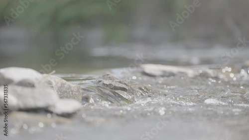 Kleine Wasserströmung im Fluss