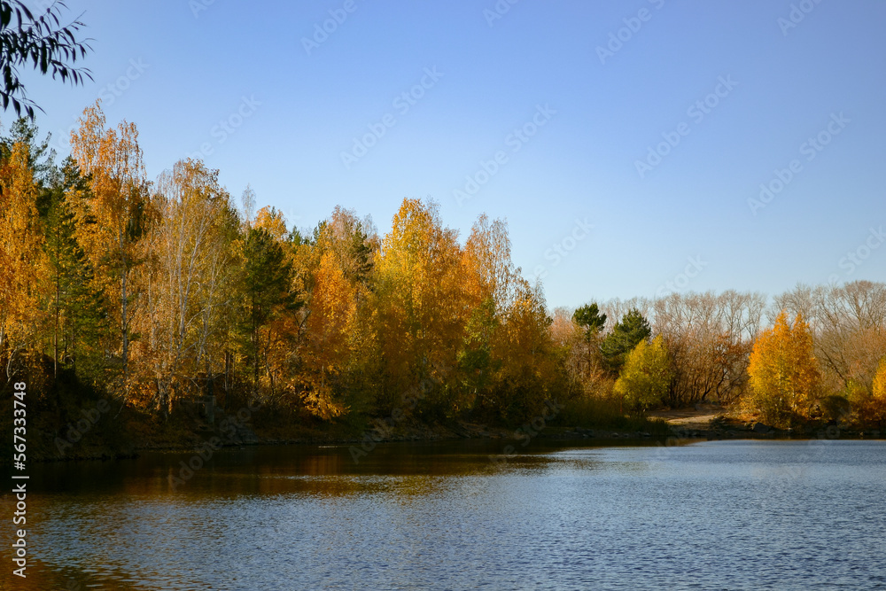 Autumn trees on the shore of a forest lake