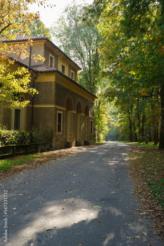 Autumn in the Monza Park  Italy