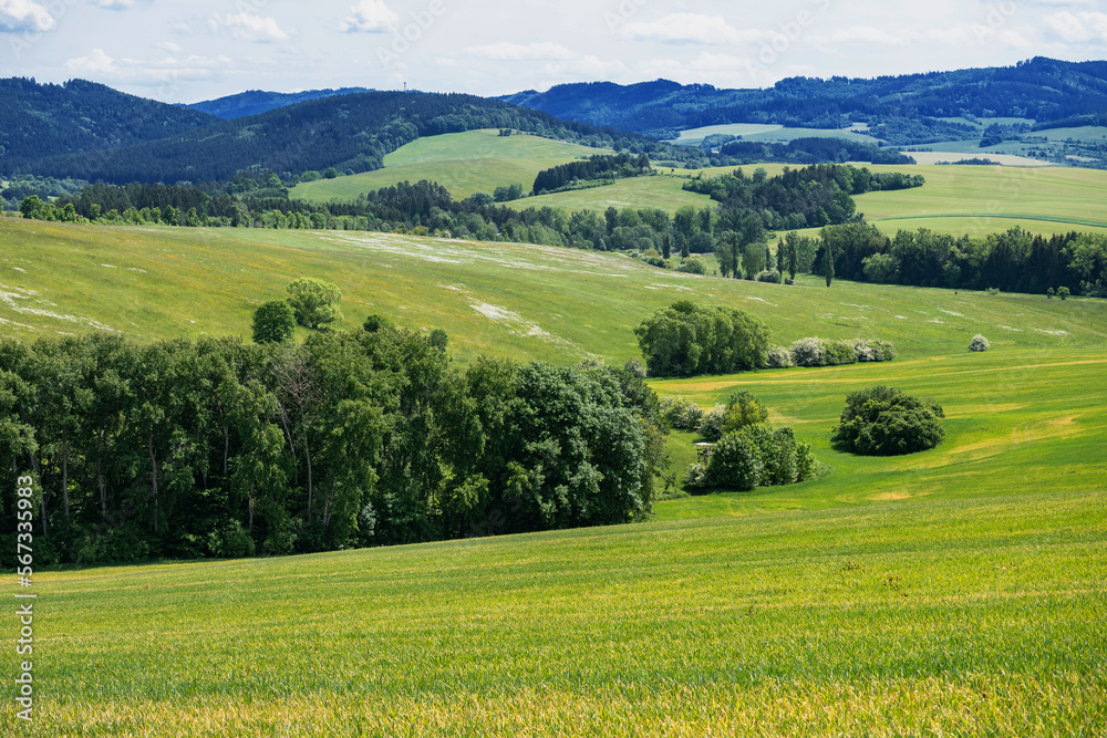 Meadow, field, hill and forest, spring landscape near Lacnov.