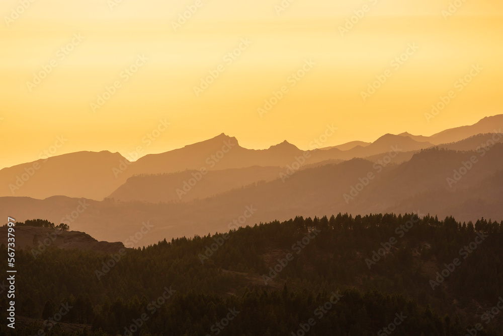 rocky mountains covered with green forest at sunset