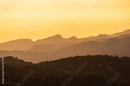rocky mountains covered with green forest at sunset