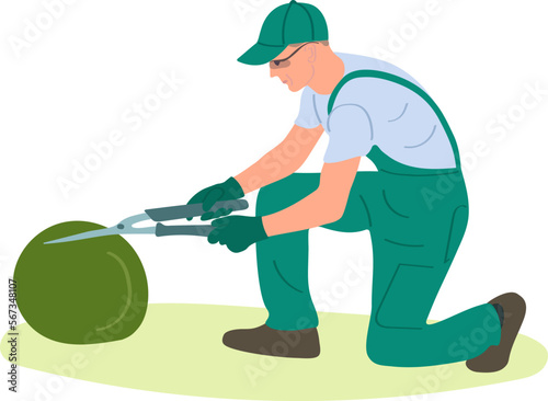 The gardener cuts a bush with scissors in the garden, hand labor to create a landscape design. Flat cartoon illustration vector drawing.
