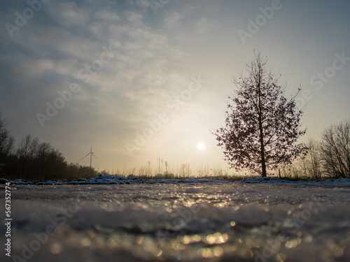 Countryside landscape in winter, Low flat land green meadow with white morning frost, silhouette line of trees and warm sunlight, . High quality photo