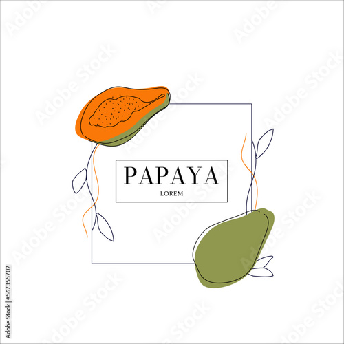 Simple isolated fruit packaging design, papaya flavored. Juicy line drawing for label. Freehand vector illustration isolated on white background.