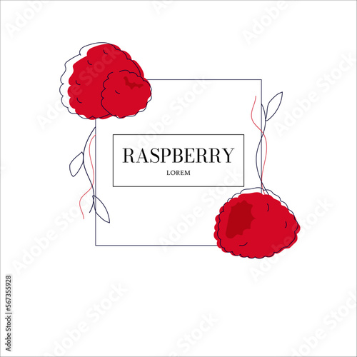 Simple isolated berry packaging design rasberry, flavored. Juicy line drawing for label. Freehand vector illustration isolated on white background.
