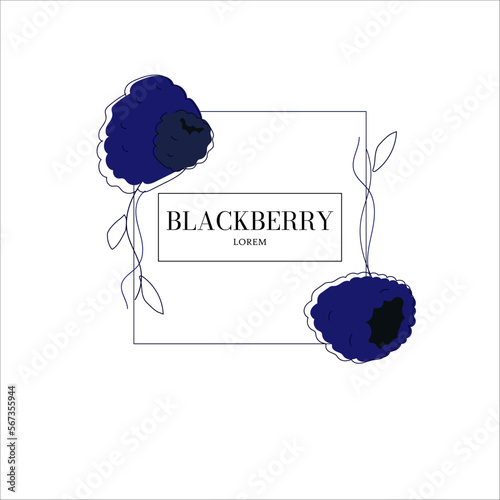 Simple isolated berry packaging design blackberry, flavored. Juicy line drawing for label. Freehand vector illustration isolated on white background.