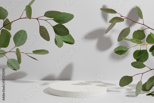 Empty white round podium and natural green eucalyptus branch with shadows on light grey background. Pedestal for product presentation. Mockup for beauty cosmetic advertising. Spring still life.