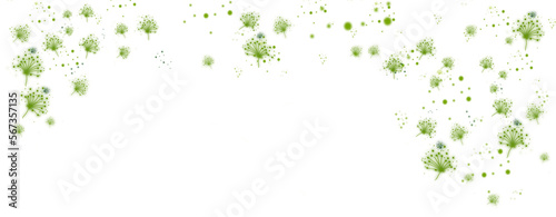 Many different focused round particles of pollen isoliert auf weiß. Horizontal natur background for for ecology and health with space for text.