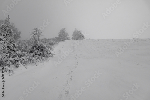 Winter in der Rhön- Schneewanderung zum Simmelsberg 12 photo