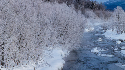 冬の川と霧氷した木々 北海道 絶景