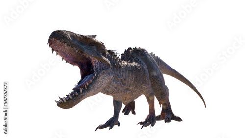 Fototapeta Naklejka Na Ścianę i Meble -  roaring indominus rex dinosaur isolated on blank background PNG
