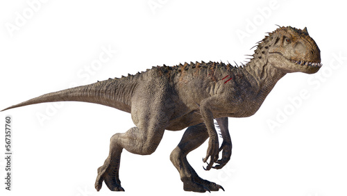 roaring indominus rex dinosaur isolated on blank background PNG © akiratrang