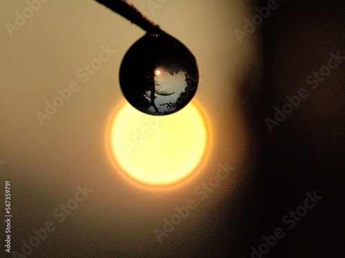 water droplet silhouette 