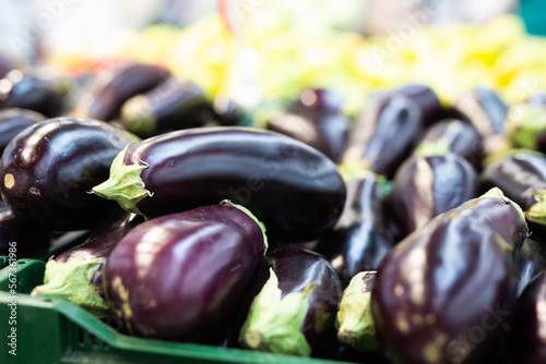 Photography Fresh purple eggplant on market counter