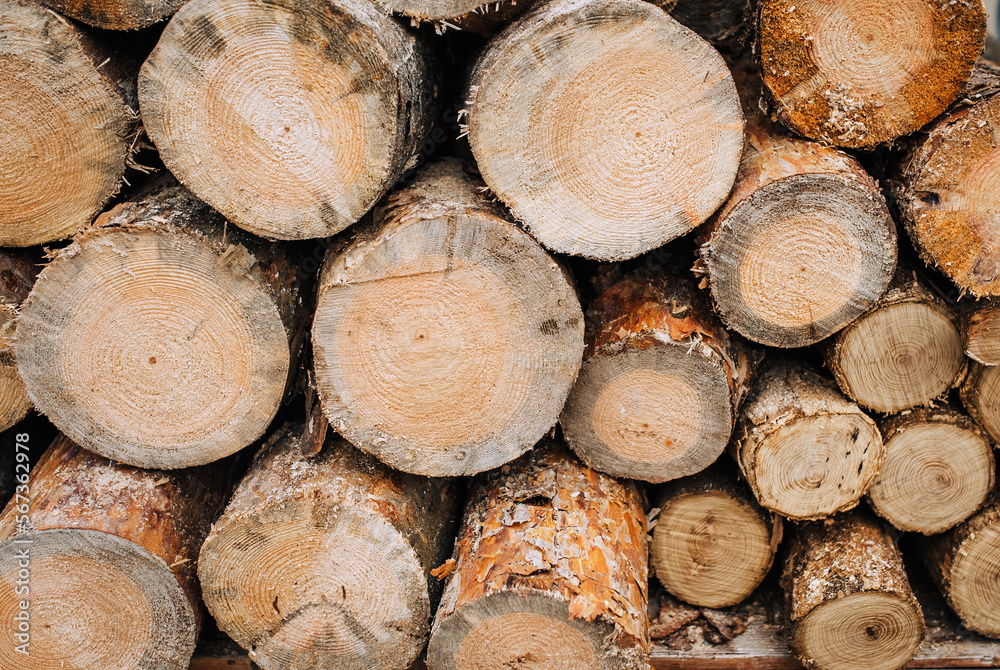 Background, texture of pine, coniferous logs, sawn trees in a row. Photography, harvesting for the winter, a wall in nature. Background, texture of pine, coniferous logs, sawn trees in a row. Photography, harvesting for the winter, a wall in nature.