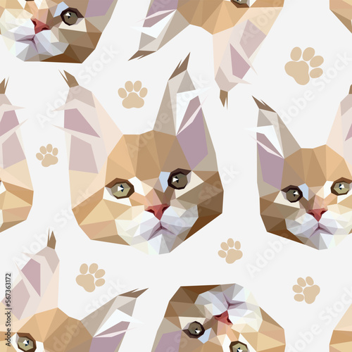 Vector seamless pattern with ginger cats. Illustration of Maine Coon cat breed. Cat muzzles and paws isolated on white. Veterinary, shop, children, kids, print concept.