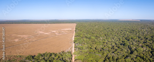 Drone panoramic aerial view of illegal amazon deforestation, Mato Grosso, Brazil. Forest trees and agriculture field land. Concept of climate change, global warming, ecology, environment, nature. photo