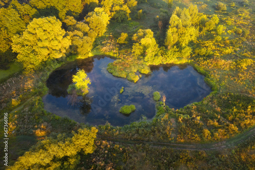 Aerial view of beautiful lake at sunrise in autumn. Colorful aerial landscape of pond in the forest at dawn. Top view