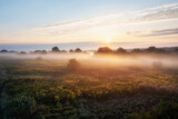 Aerial view of meadow in fog and morning sunshine at dawn. Beautiful autumn landscape with trees, grass, field, mist and sunrise sky.