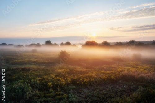 Aerial view of meadow in fog and morning sunshine at dawn. Beautiful autumn landscape with trees  grass  field  mist and sunrise sky.